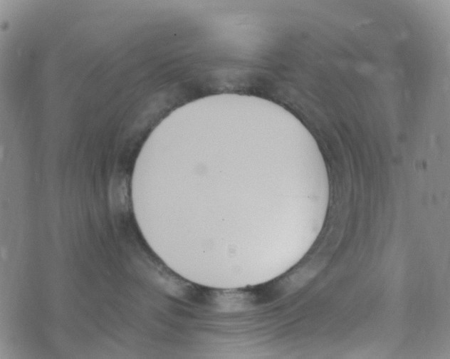 X0000073920336200609011815