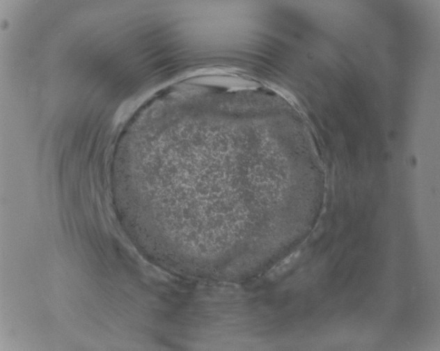 X0000073920337200609011815