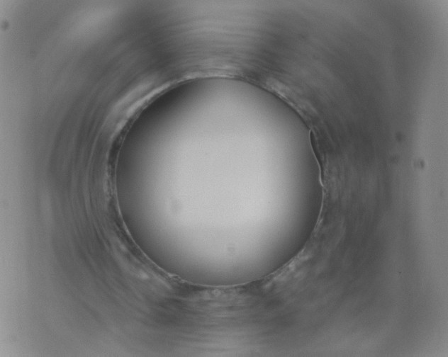 X0000073920338200609011815