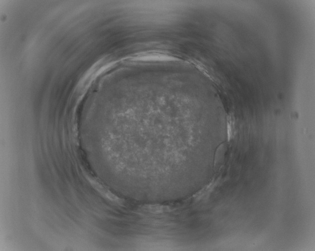 X0000073920339200609011815