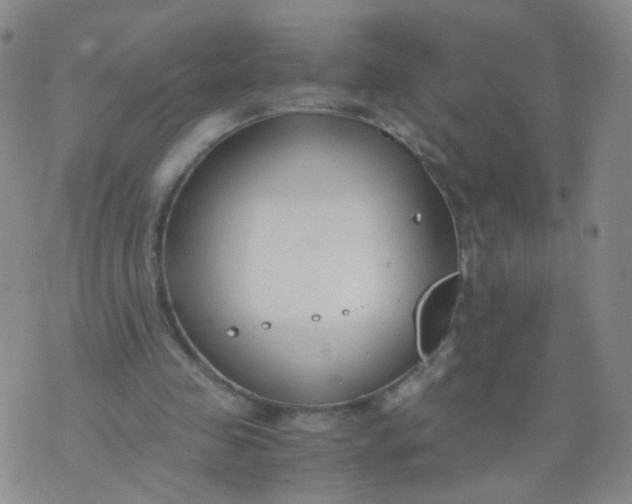 X0000073920341200609011815