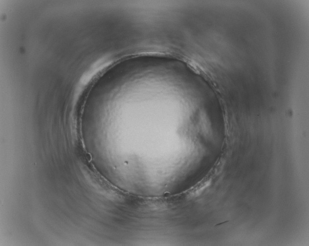 X0000073920343200609011815