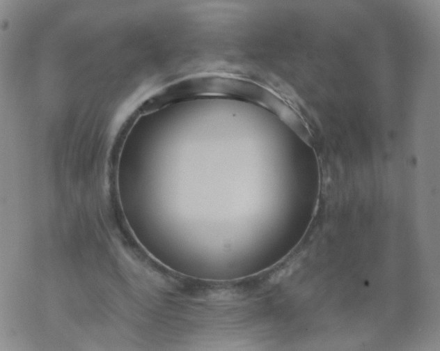 X0000073920344200609011815