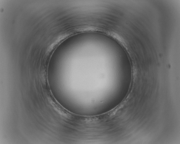 X0000073920345200609011815