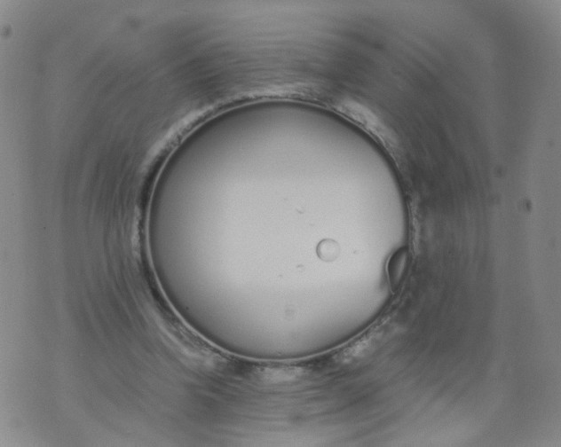 X0000073920346200609011815