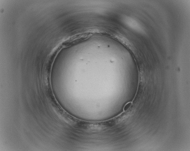 X0000073920347200609011815