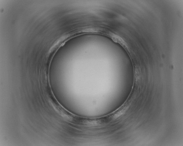 X0000073920349200609011815