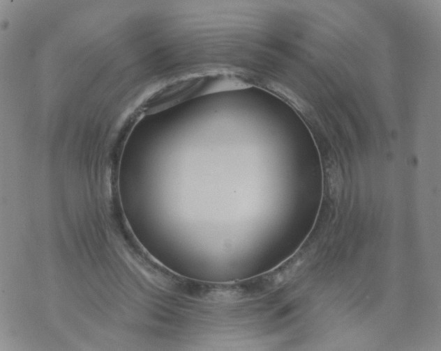 X0000073920350200609011815