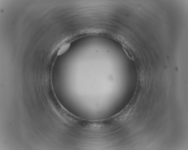 X0000073920352200609011815