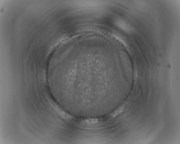 X0000073920353200609011815