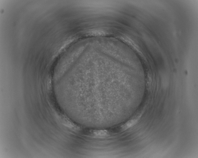 X0000073920355200609011815