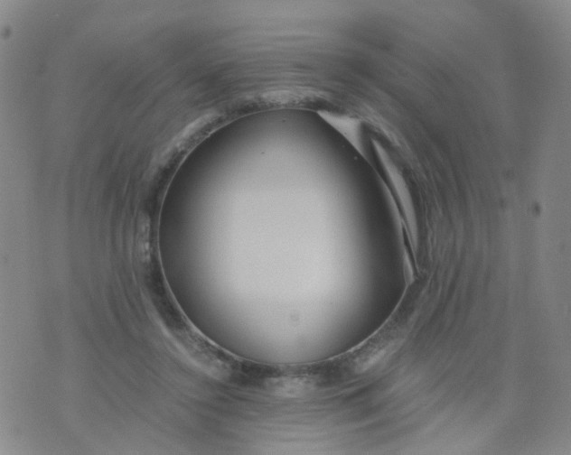 X0000073920356200609011815