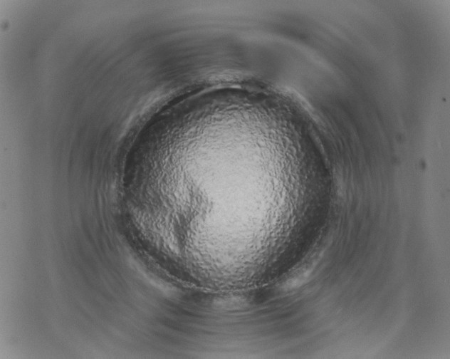 X0000073920357200609011815