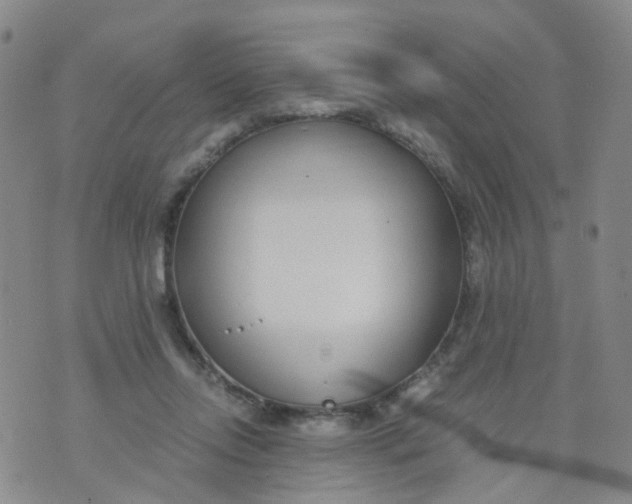 X0000073920358200609011815