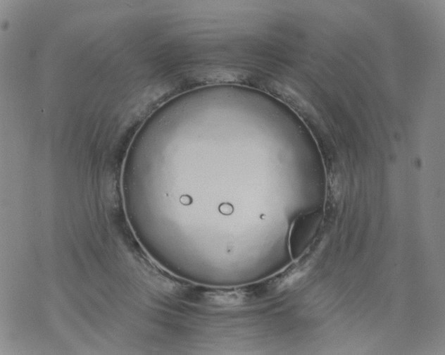 X0000073920359200609011815