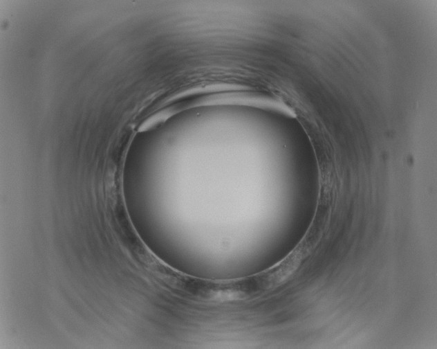 X0000073920360200609011815