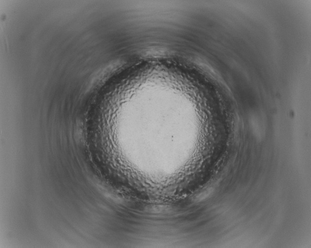 X0000073920361200609011815