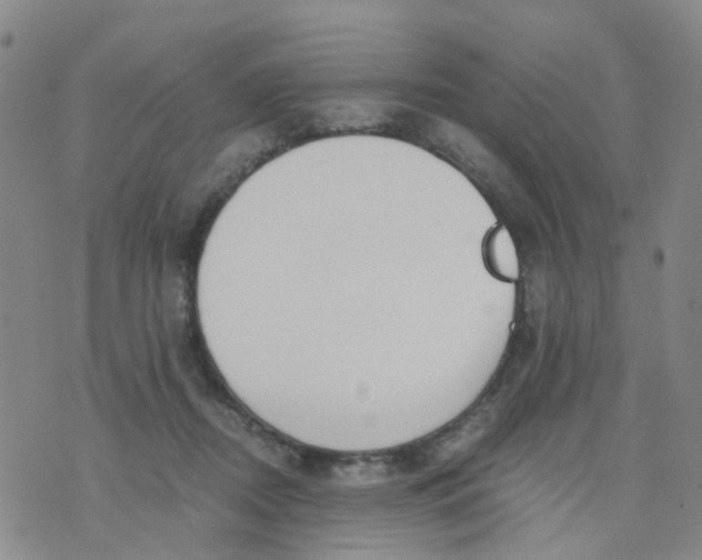 X0000073920362200609011815