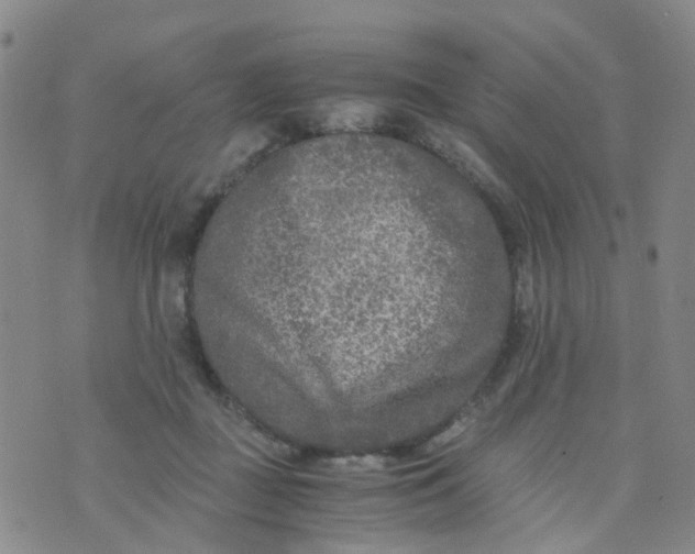 X0000073920363200609011815