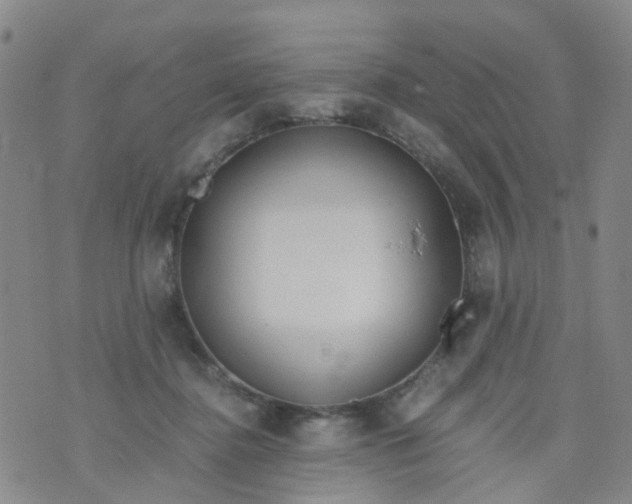 X0000073920364200609011815