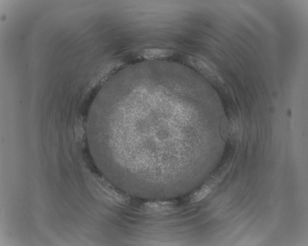 X0000073920367200609011815