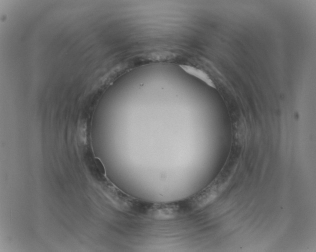 X0000073920368200609011815