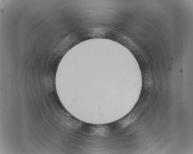 X0000073920370200609011815