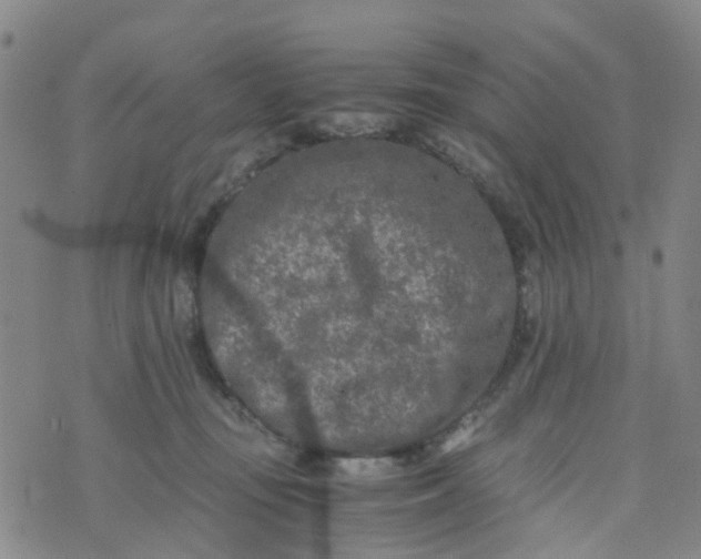 X0000073920371200609011815