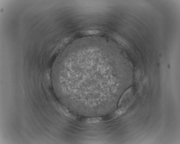 X0000073920373200609011815