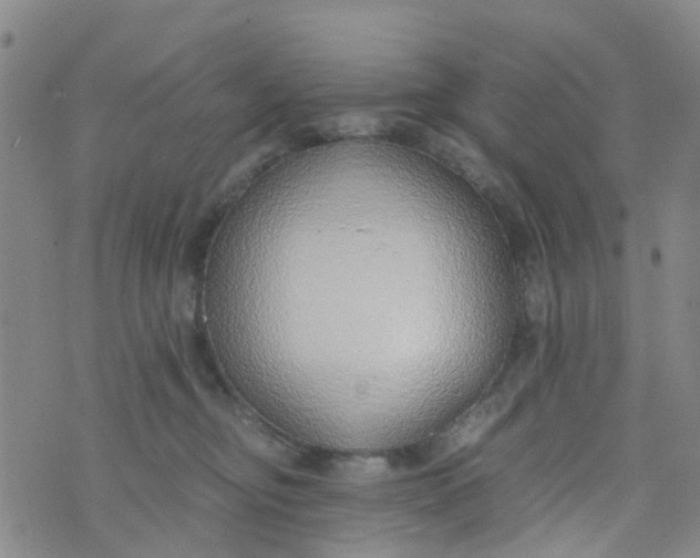 X0000073920374200609011815