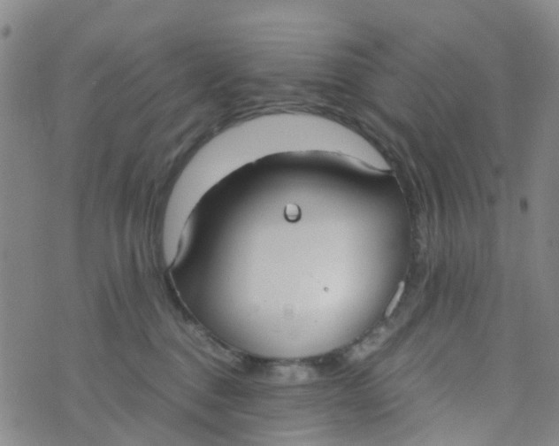 X0000073920376200609011815