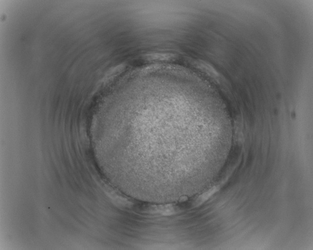 X0000073920377200609011815