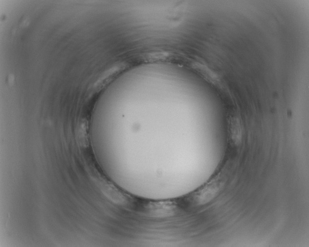 X0000073920378200609011815