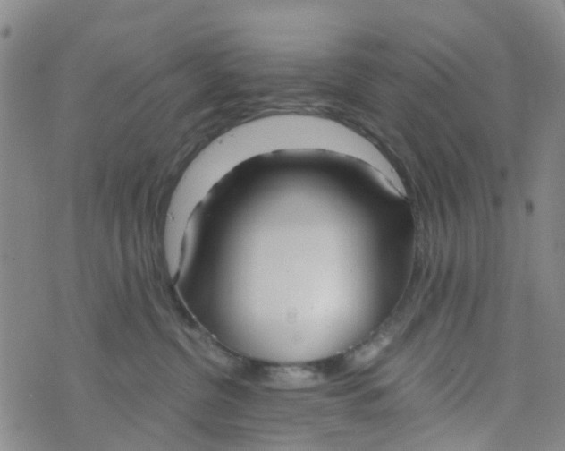 X0000073920380200609011815