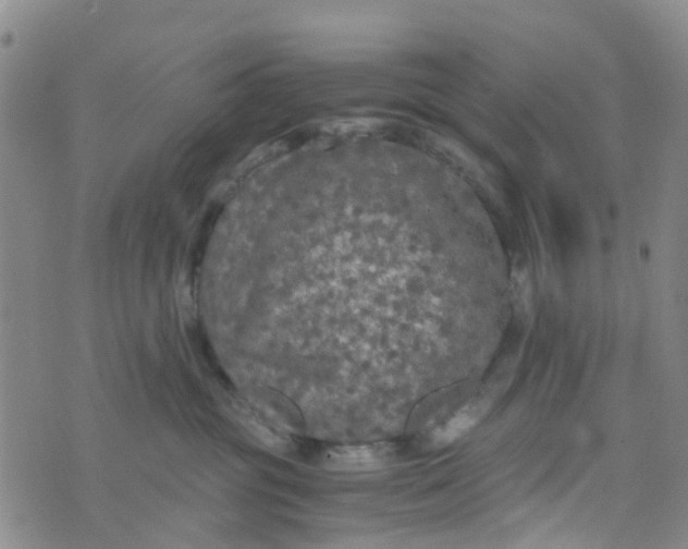 X0000073920381200609011815