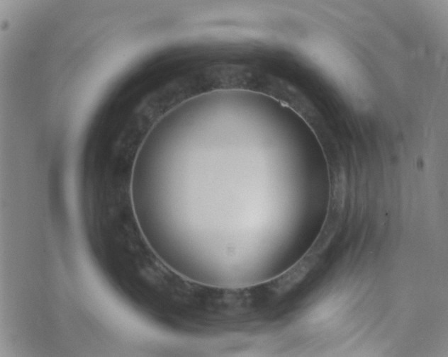 X0000073920383200609011815