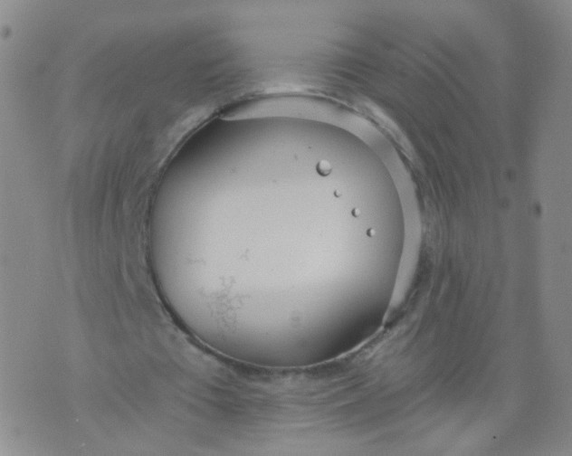 X0000073920385200609011815