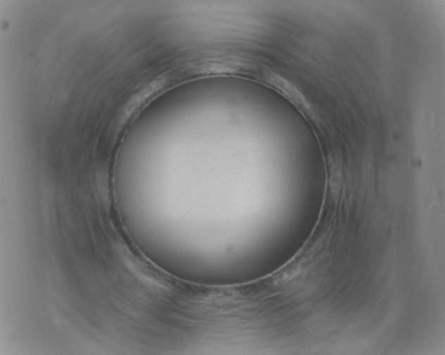 X0000073920386200609011814