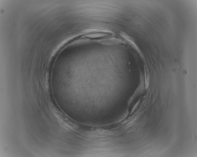 X0000073920387200609011814