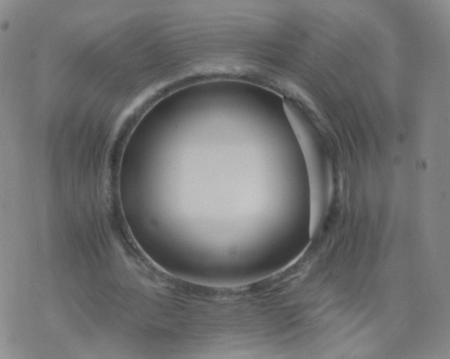 X0000073920388200609011814