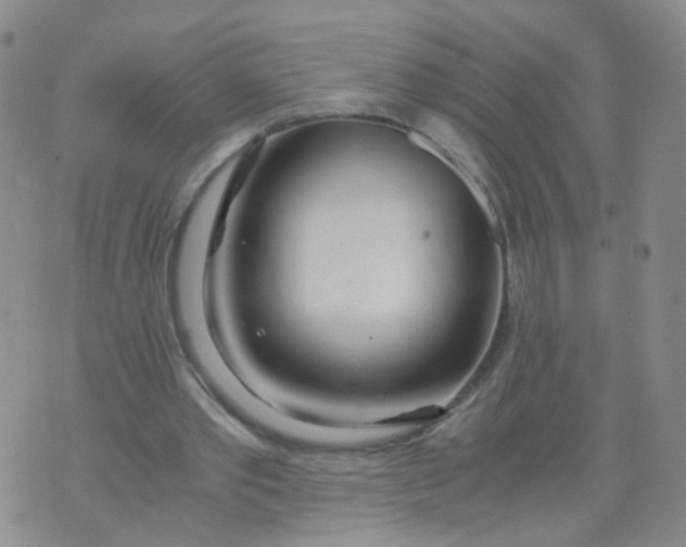 X0000073920389200609011814