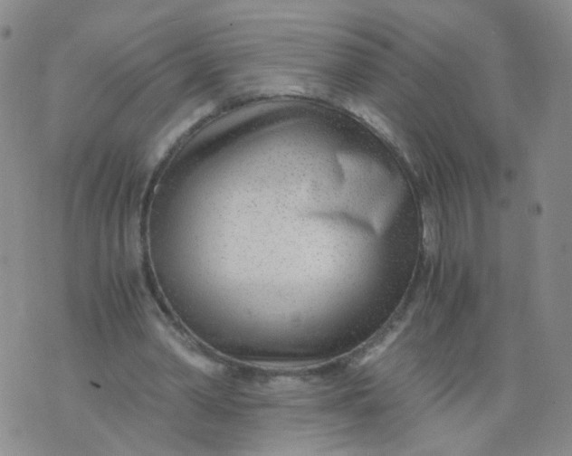 X0000073920390200609011814