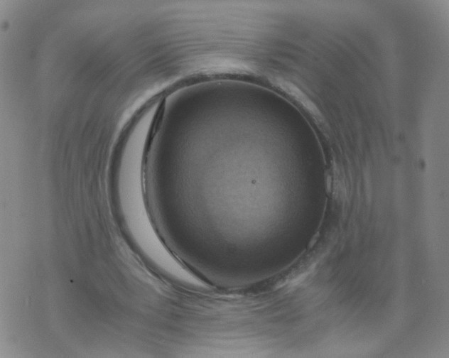 X0000073920391200609011814