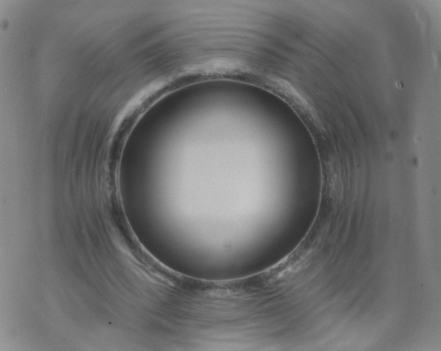 X0000073920392200609011814