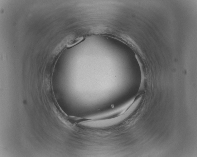 X0000073920393200609011814