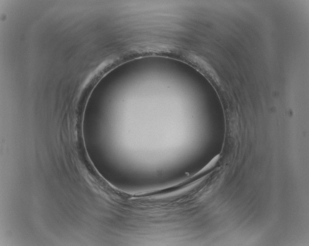 X0000073920395200609011814