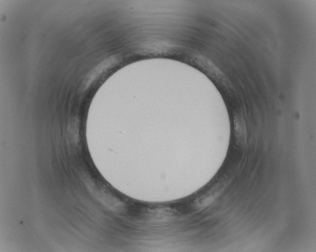 X0000073920396200609011814