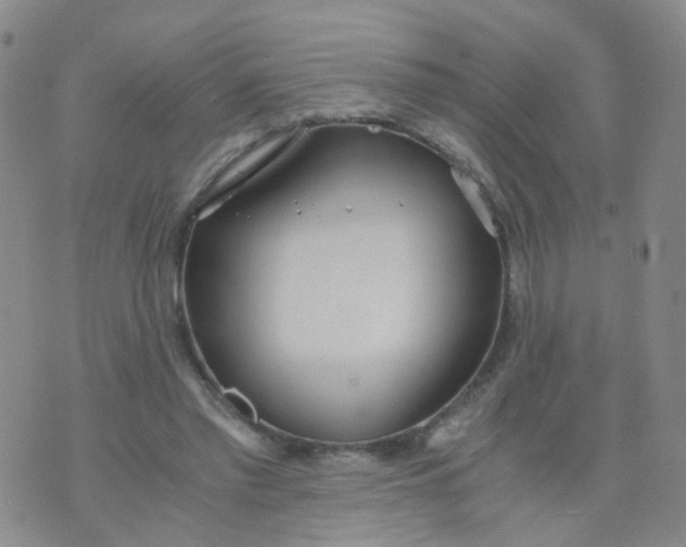 X0000073920397200609011814