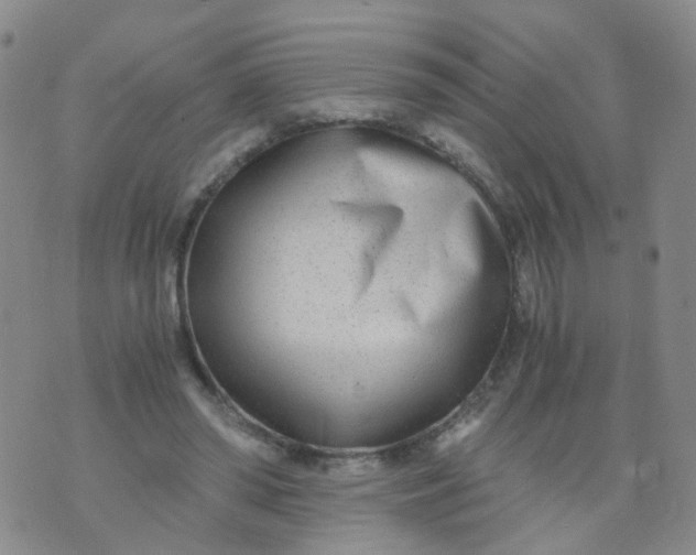 X0000073920398200609011814