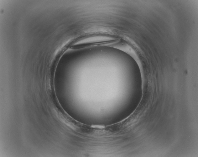 X0000073920399200609011814